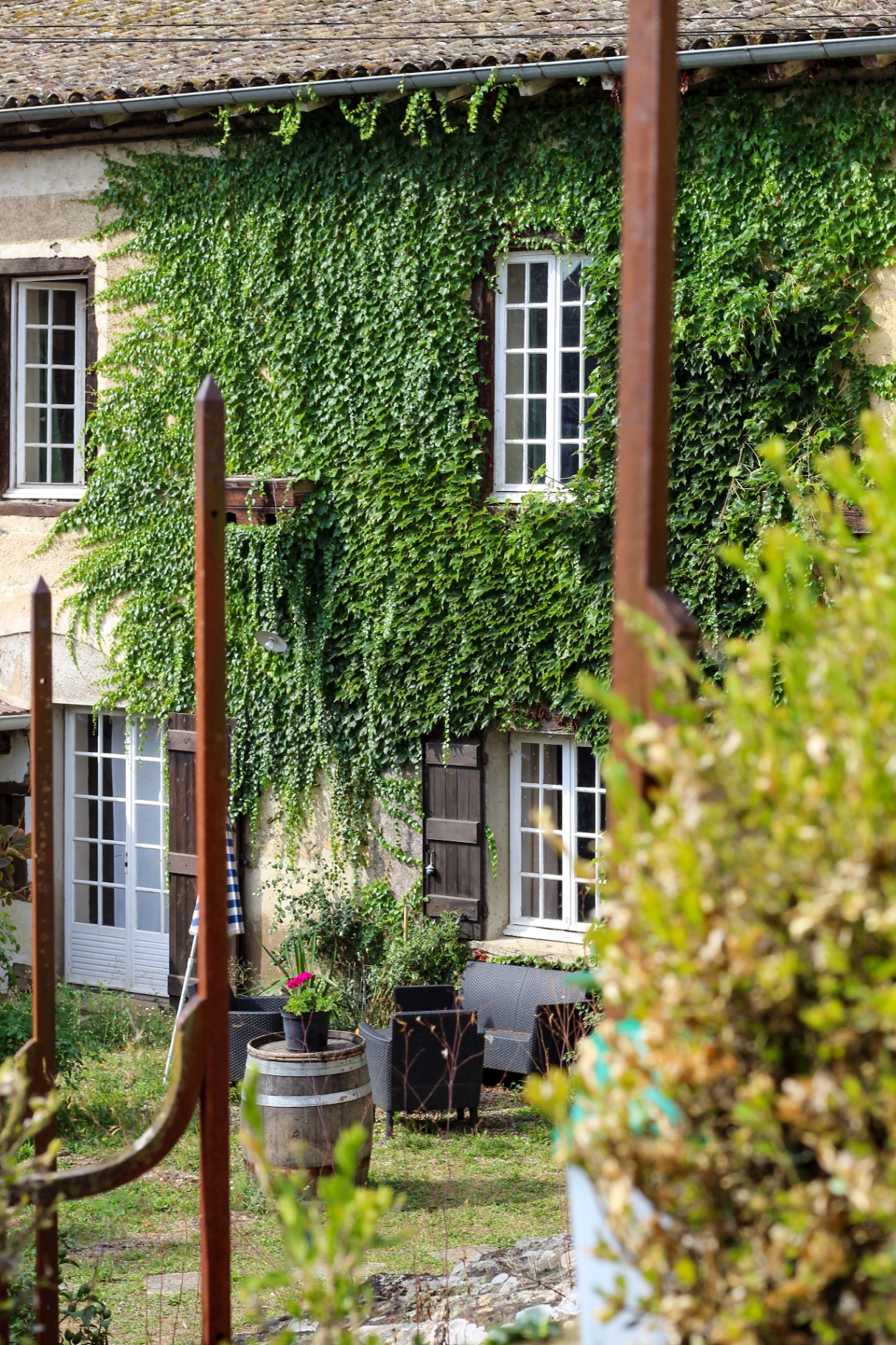 Maison couverte de lierre